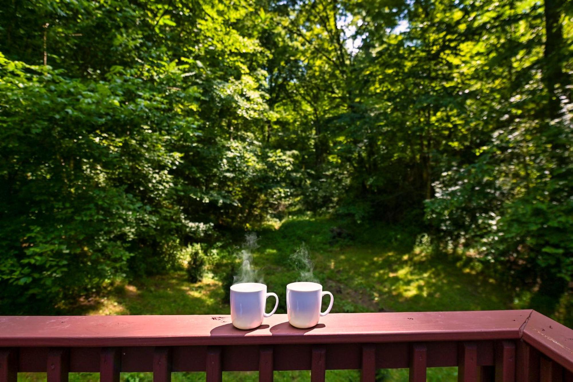Smoky Mountains Hut Tub Cabin Dog Friendly セバービル エクステリア 写真